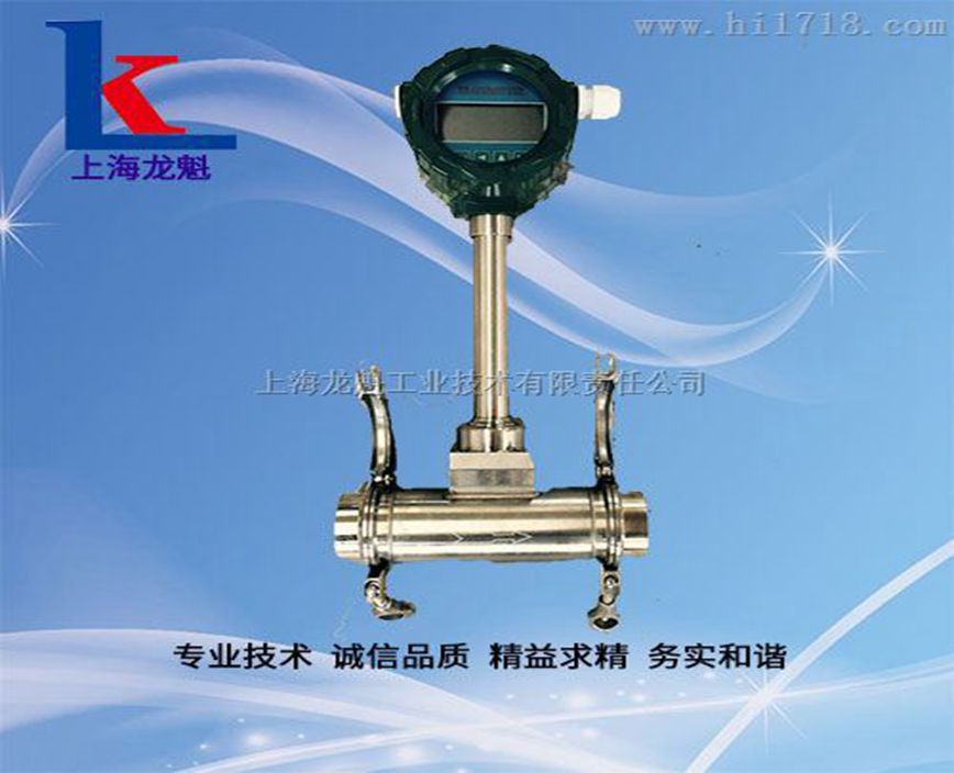 純凈水渦街流量計(jì)